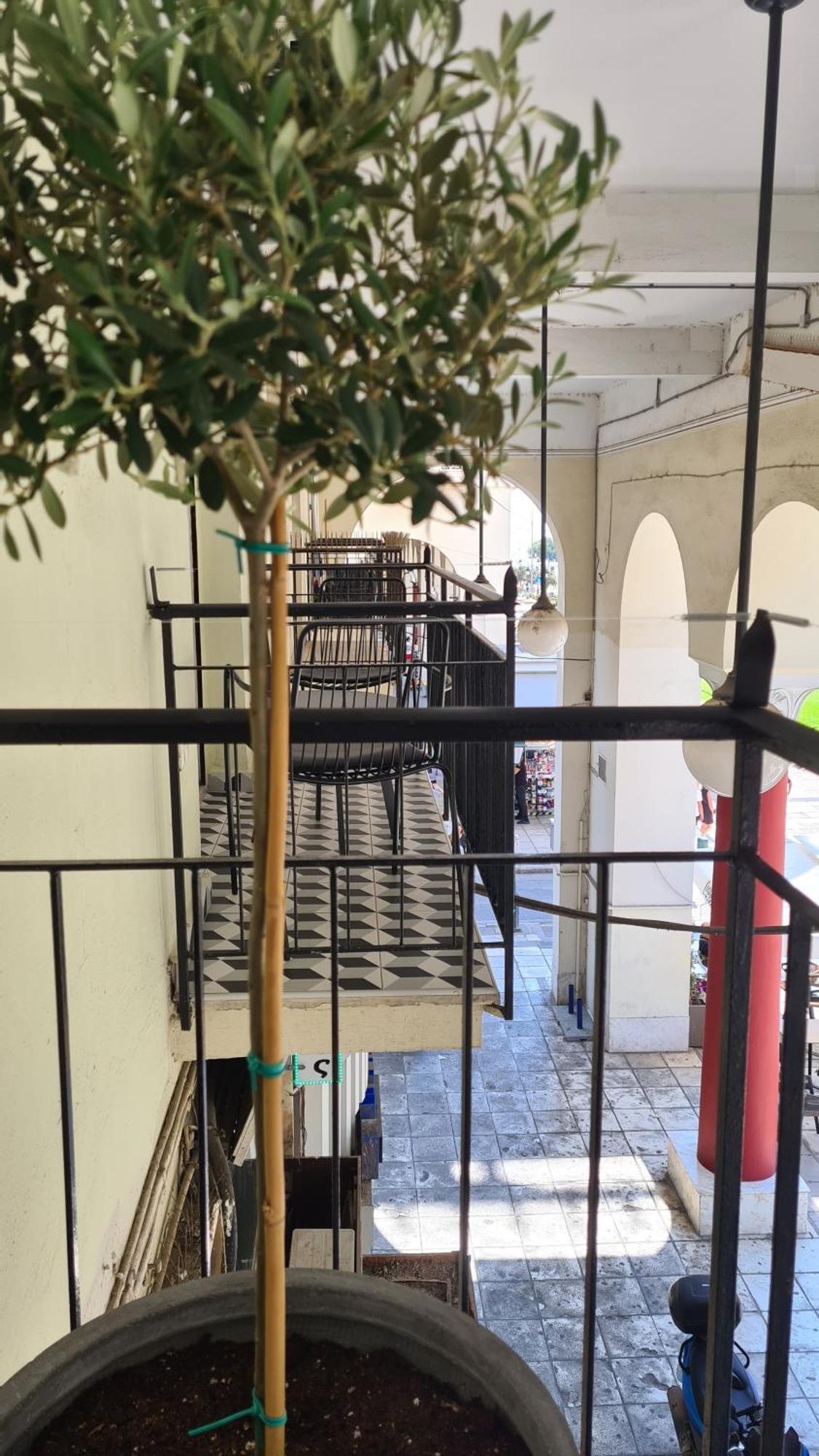 Μerάκι Aristotelous Sq سالونيك المظهر الخارجي الصورة